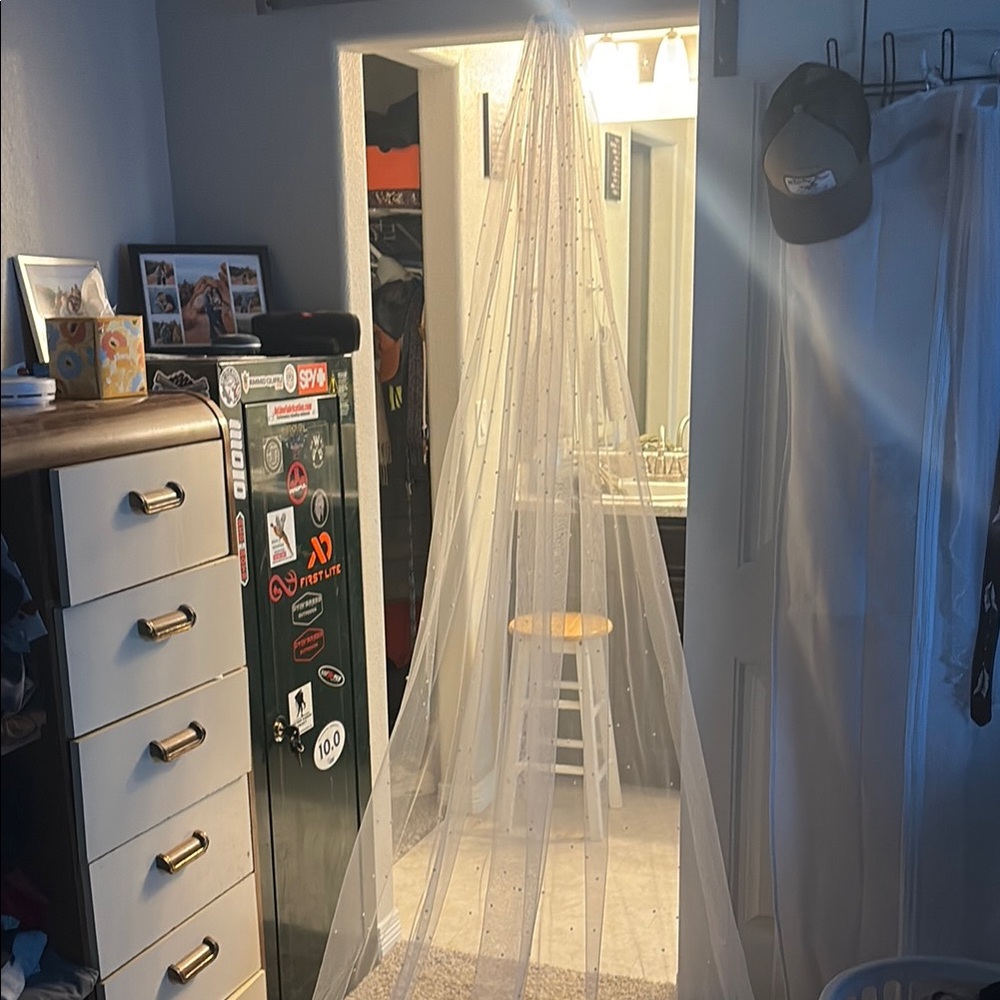 Cathedral Length Pearl Wedding Veil